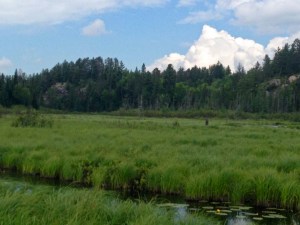 10460480_728613267177952_5881325790359919563_n