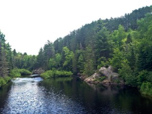 10464077_728613177177961_761176178830614117_n