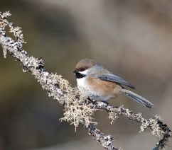 8637983235_a4d988fc3e_c